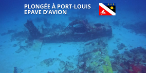 Bannières vidéos plongée et Travellers-5