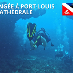 Plongée à la cathédrale à Port-Louis – Guadeloupe