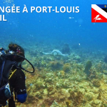 Plongée à l&rsquo;Oeil à Port-Louis – Guadeloupe